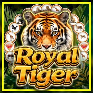 Royal Tiger Spinner thumbnail