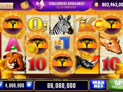 Sopot Bet Dashboard