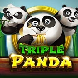 Triple Panda thumbnail